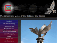 Tablet Screenshot of citybirds.com
